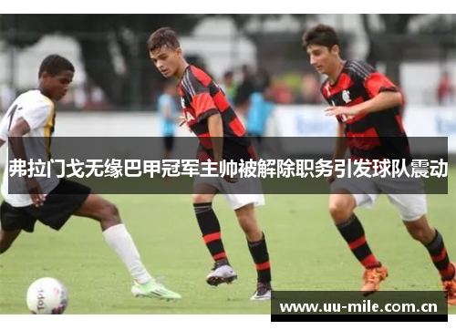 弗拉门戈无缘巴甲冠军主帅被解除职务引发球队震动 弗拉门戈无缘巴甲冠军主帅被解除职务引发球队震动