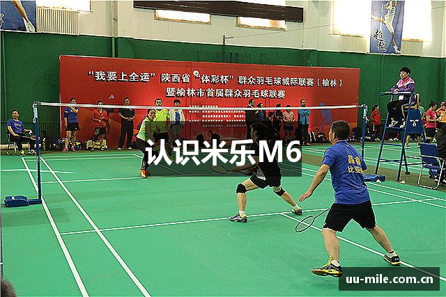 认识米乐M6